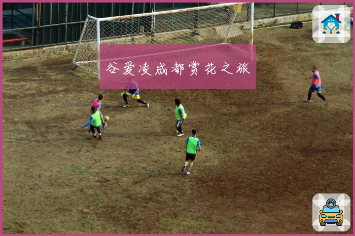 谷爱凌成都赏花之旅