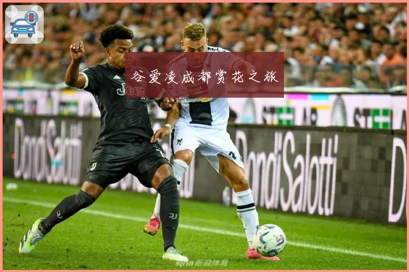 谷爱凌成都赏花之旅